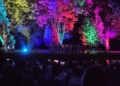 Wianki, taniec i magia przesilenia. Noc Świętojańska w łódzkim Ogrodzie Botanicznym [ZDJĘCIA]