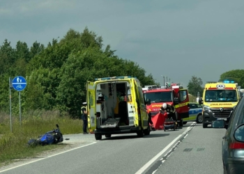 Motocyklista zderzył się z sarną. Utrudnienia na drodze wojewódzkiej 713