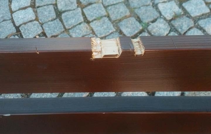 Złoczew: niszczył maczetą ławkę. Zainterweniował burmistrz 1 Złoczew: niszczył maczetą ławkę. Zainterweniował burmistrz