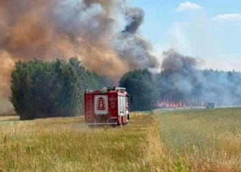 Wielki pożar lasu pod Sieradzem. Strażacy walczyli z ogniem przez wiele godzin