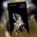 Yukio Mishima „Złota Pagoda” | Nocny Klub Książki 10 Yukio Mishima „Złota Pagoda” | Nocny Klub Książki