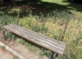 Mieszkańcy skarżą się, że jeden z parków w Łodzi jest w kiepskim stanie 2 IMG 6843 scaled