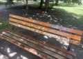 Mieszkańcy skarżą się, że jeden z parków w Łodzi jest w kiepskim stanie 4 IMG 6845 scaled