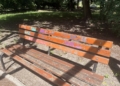 Mieszkańcy skarżą się, że jeden z parków w Łodzi jest w kiepskim stanie 5 IMG 6846 scaled