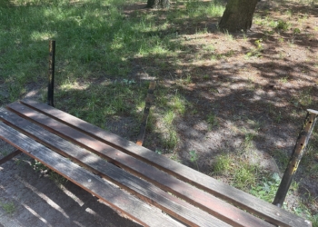 Mieszkańcy skarżą się, że jeden z parków w Łodzi jest w opłakanym stanie
