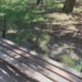 Mieszkańcy skarżą się, że jeden z parków w Łodzi jest w kiepskim stanie 10 Mieszkańcy skarżą się, że jeden z parków w Łodzi jest w opłakanym stanie