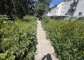 Mieszkańcy skarżą się, że jeden z parków w Łodzi jest w kiepskim stanie 8 IMG 6853 scaled