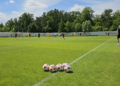 LKS Lodz trenuje po letniej przerwie 2026 fot Robert Zwolinski 6