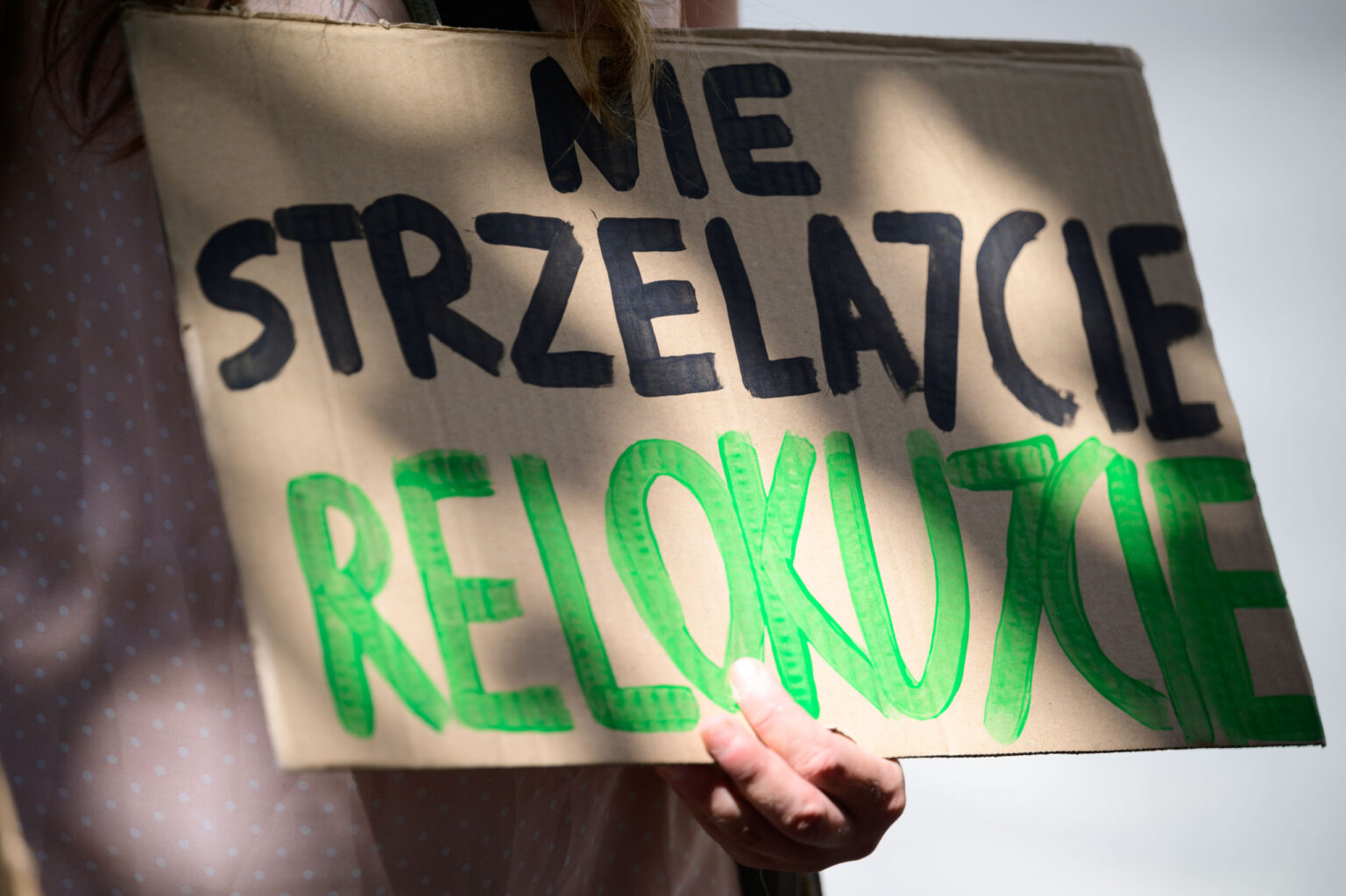 Pikieta w obronie dzików fot Sebastian Szwajkowski_2 Pikieta w obronie dzikow fot Sebastian Szwajkowski 2