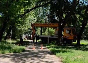 Pielęgnacja drzew w Parku Abramowskiego w Łodzi budzi emocje. Zarząd Zieleni uspokaja mieszkańców [WIDEO]