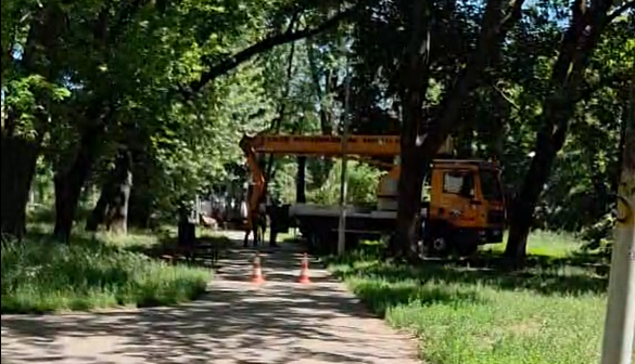 Pielęgnacja drzew w Parku Abramowskiego w Łodzi budzi emocje. Zarząd Zieleni uspokaja mieszkańców [WIDEO]