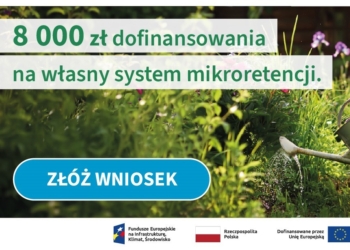 Mikroretencja – nawet 8 tys. zł dofinansowania na zatrzymanie deszczówki