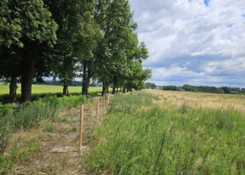 Mieszkańcy bronią Doliny Neru. Sąd utrudnił budowę magazynu KAS [ZDJĘCIA]