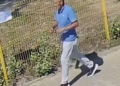 Kobieta zaatakowana na łódzkiej Dąbrowie. Policja publikuje wizerunek sprawcy 2 248 249312 g
