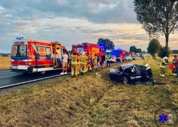 Zderzenie trzech aut na DK12 pod Opocznem. Cztery osoby trafiły do szpitali