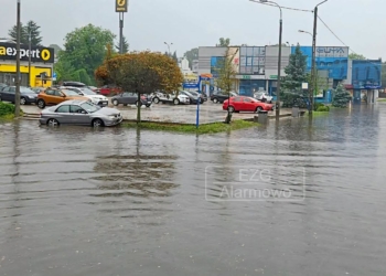 Intensywne opady deszczu w Łódzkiem. Zgierz pod wodą, w Łodzi 4 samochody uszkodzone przez konary [ZDJĘCIA]