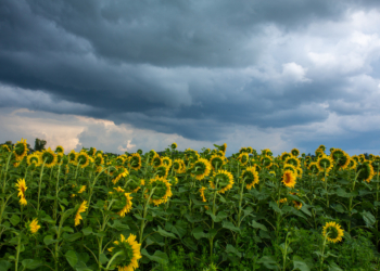 Pogoda na wtorek. Słupki temperatury w górę i ostrzeżenia przed silnym wiatrem 2 Pogoda na wtorek. Słupki temperatury w górę i ostrzeżenia przed silnym wiatrem