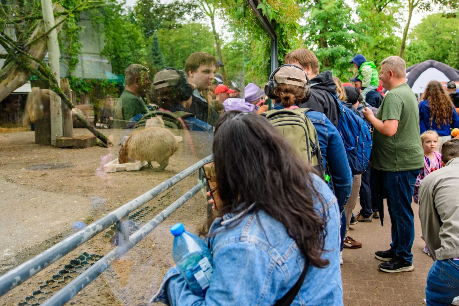 Dzien Kapibary w lodzkim zoo fot Sebastian Szwajkowski 2
