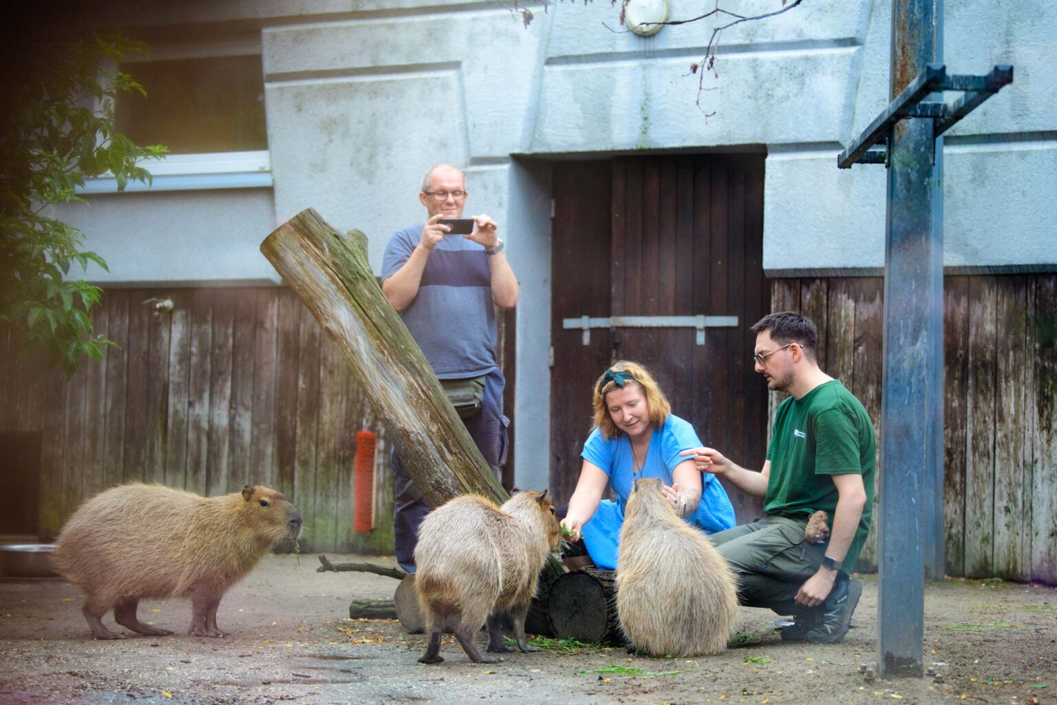 Dzień Kapibary w łódzkim zoo fot Sebastian Szwajkowski_3 Dzien Kapibary w lodzkim zoo fot Sebastian Szwajkowski 3