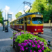 Przystanek Radiość - tramwajem śladami łódzkich legend i niezwykłych historii 12 Przystanek Radiość - tramwajem śladami łódzkich legend i niezwykłych historii