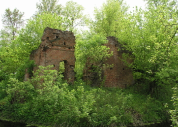 Archeolodzy UŁ badają ruiny renesansowego dworu w Mikorzycach