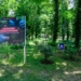 W zoo powstanie Pawilon Zywiolow fot Sebastian Szwajkowski