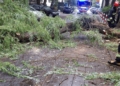 Intensywne opady deszczu w Łódzkiem