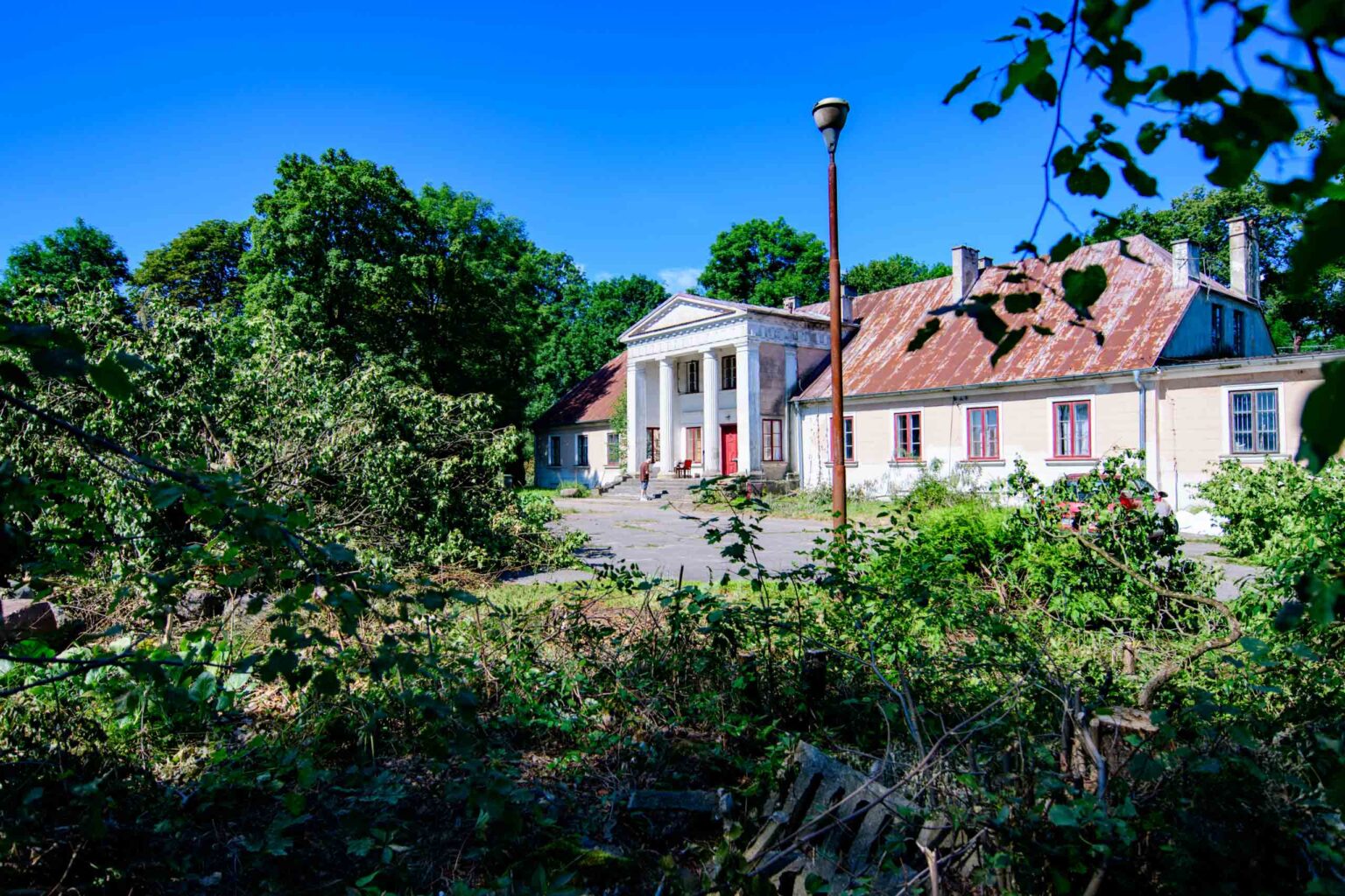 Wycinka drzew w Nakielnicy fot Sebastian Szwajkowski_9 Wycinka drzew w Nakielnicy fot Sebastian Szwajkowski 9