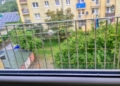 a0316339 8abc 4d60 837d 4be219ba3071