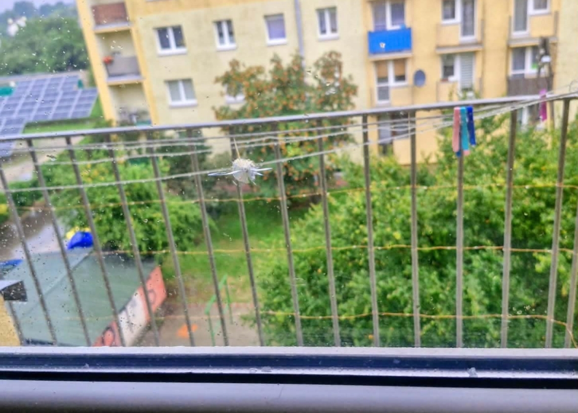 Przestrzelone szyby i strach wśród mieszkańców. Strzały z wiatrówki na zgierskim osiedlu, fot. Magnific.com (zdjęcie ilustracyjne)