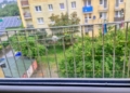 Przestrzelone szyby i strach wśród mieszkańców. Strzały z wiatrówki na zgierskim osiedlu 4 Przestrzelone szyby i strach wśród mieszkańców. Strzały z wiatrówki na zgierskim osiedlu, fot. Magnific.com (zdjęcie ilustracyjne)
