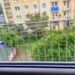 Przestrzelone szyby i strach wśród mieszkańców. Strzały z wiatrówki na zgierskim osiedlu, fot. Magnific.com (zdjęcie ilustracyjne)