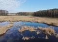 dji fly 20260417 082856 0116 1776411035047 photo scaled