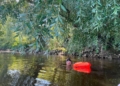 image00001 6