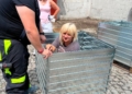 image00002 9