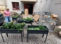 „Jadalny Przystanek” powstaje w centrum Łodzi. Społeczny ogród ma połączyć ludzi [ZDJĘCIA]