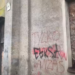 Odnaleziono ciało psa w Konstantynowie Łódzkim. Policja wyjaśnia okoliczności zdarzenia 10 Odnaleziona ciało psa w Konstantynowie Łódzkim. Policja wyjaśnia okoliczności zdarzenia