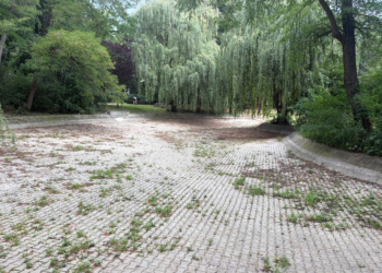 Woda zniknęła z łódzkich parków. Mieszkańcy narzekają na jej brak