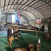 Legendarny Spitfire może trafić do muzeum pod Działoszynem