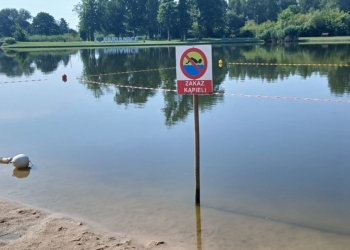 Kolejny zakaz kąpieli w województwie łódzkim. Sinice na pabianickim Lewitynie