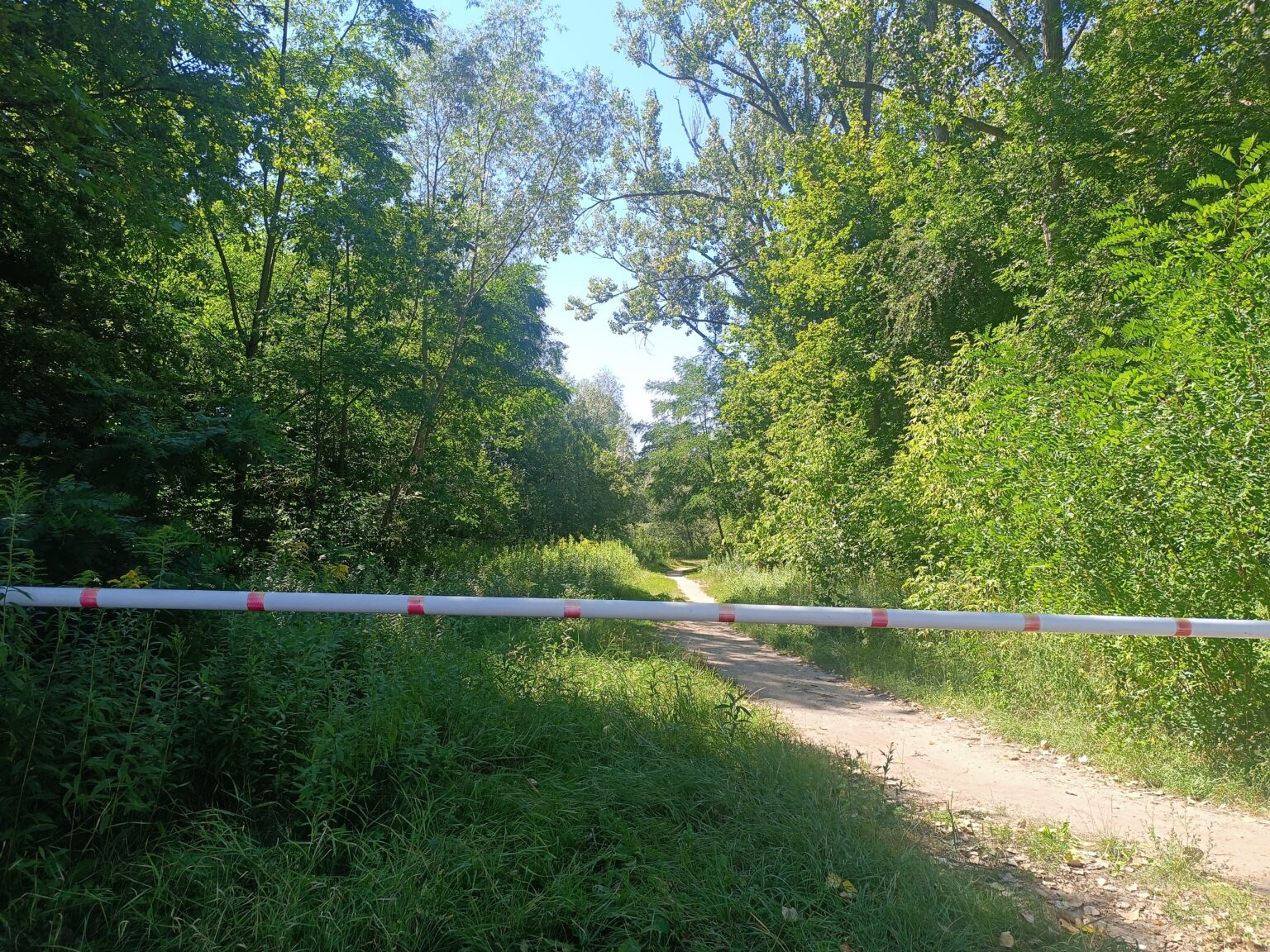 Poligon Brus, fot. Monika Borysow-Dudowicz 1000018010