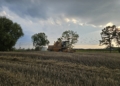 Żniwa w Łódzkiem pod znakiem pogody i niższych plonów. Rolnicy narzekają na koszty [ZDJĘCIA]
