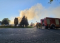 Pożar składu samochodów w Rożdżałach. Ogień objął kilka pojazdów [ZDJĘCIA]