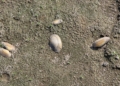20260804 100803 scaled