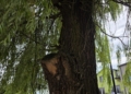 20260811 115447 scaled