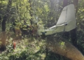 Samolot rozbił się w lesie niedaleko lądowiska. Pilot w szpitalu [ZDJĘCIA]