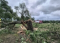 Ponad 500 zgłoszeń, warunki były bardzo trudne. Sobota w regionie łódzkim 5 Połamane drzewa, zalane posesje i uszkodzone auta. Ponad 400 interwencji w Łódzkiem