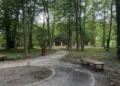 Park i pałac w Lisowicach