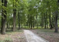 Park i pałac w Lisowicach