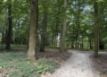 Park i pałac w Lisowicach